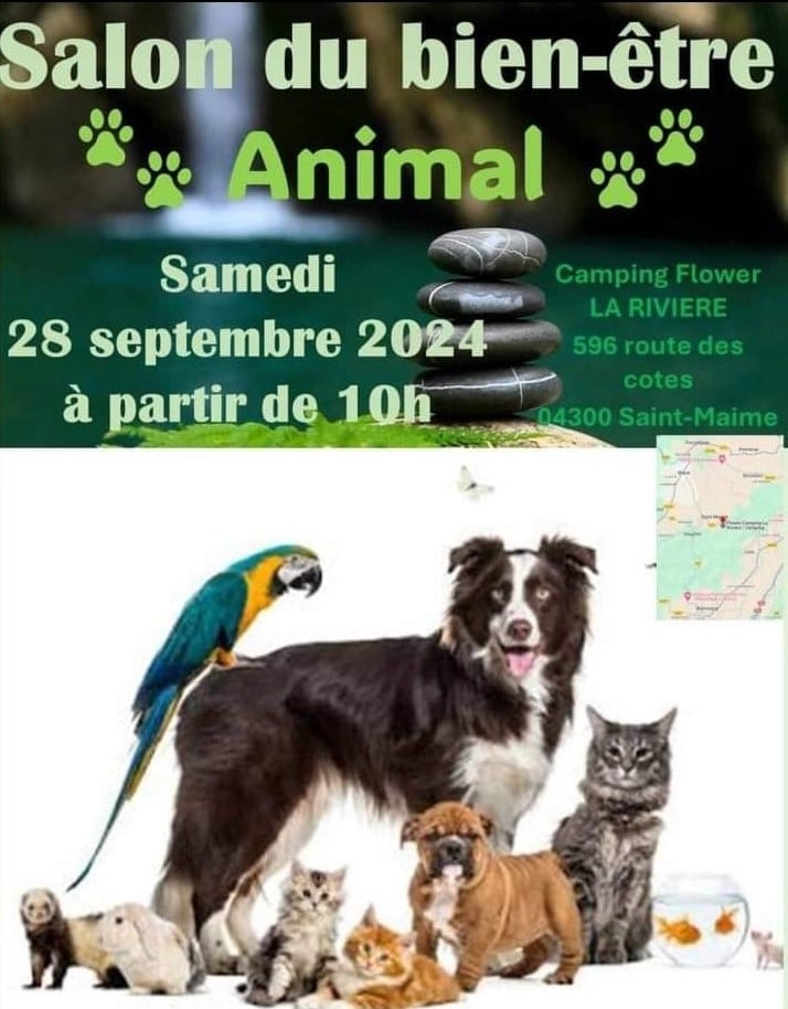 Affiche du Salon du bien-être animal le 28 septembre 2024 à Saint-Maime, avec différents animaux présentés lors de cet événement.